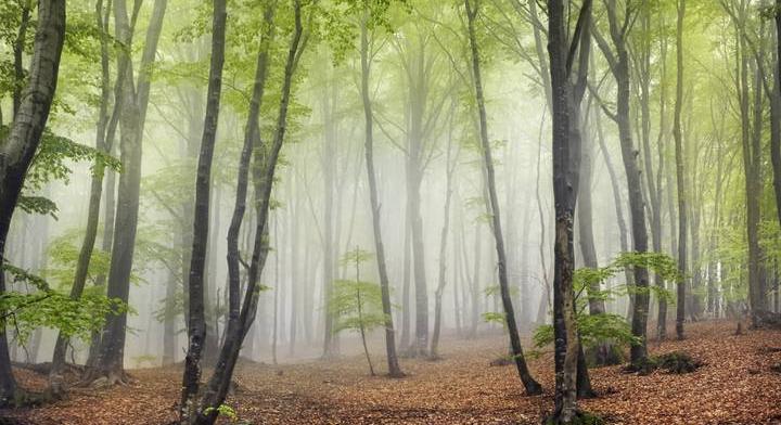 Bekeményít az időjárás: 5 vármegyére adtak ki riasztást