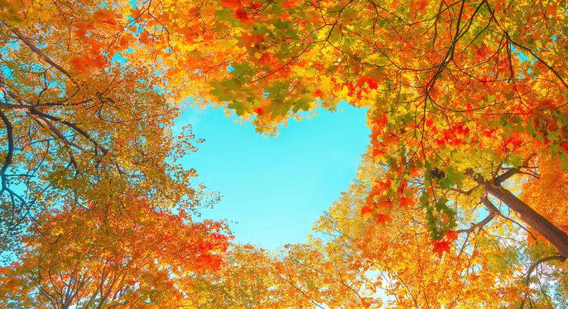 Heti szerelmi horoszkóp 2025. november 15-21.: a retrográd Merkúr visszahozhat egy régi szerelmet…