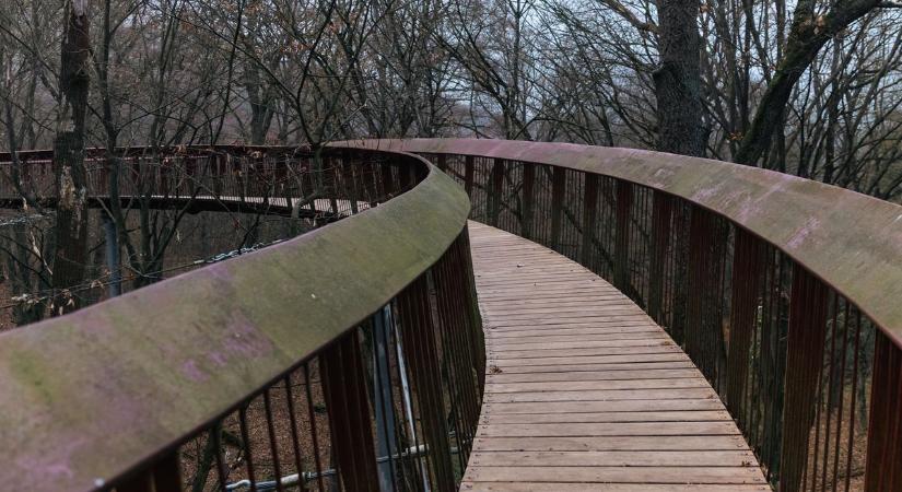 Ősszel is elragadó a Gerecse rejtett kincse: fotókon a "lebegő" tardosi lombkoronasétány