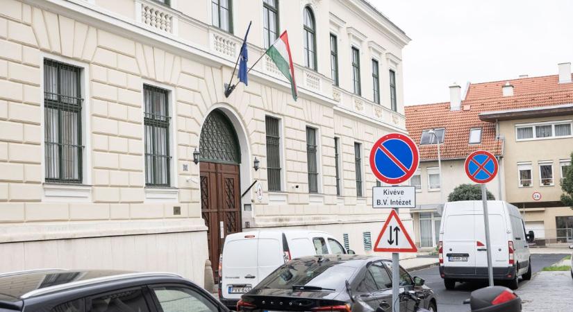 Borzasztó tragédia az erdőben: lezuhant, még élt – de a segítség órákkal később érkezett