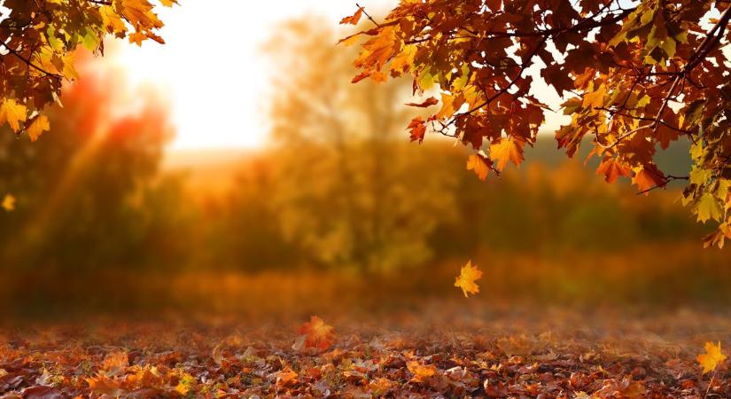 Enyhülést hoz az élénk szél Baranyában