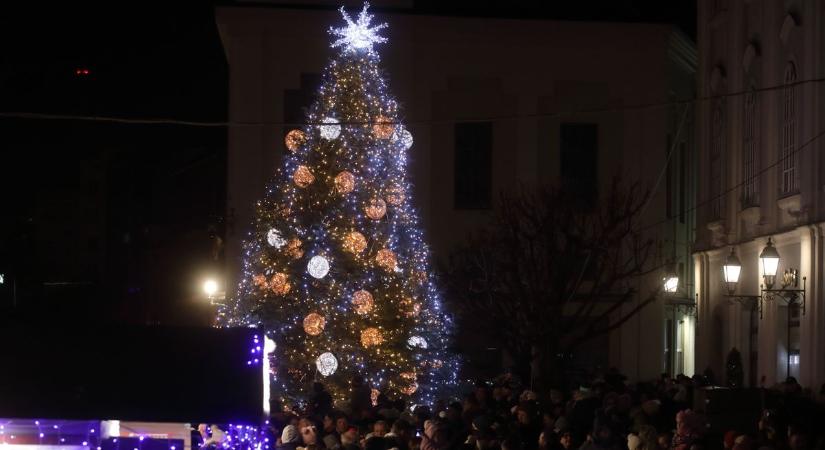 Újabb részletek derültek ki Székesfehérvár idei karácsonyfájáról