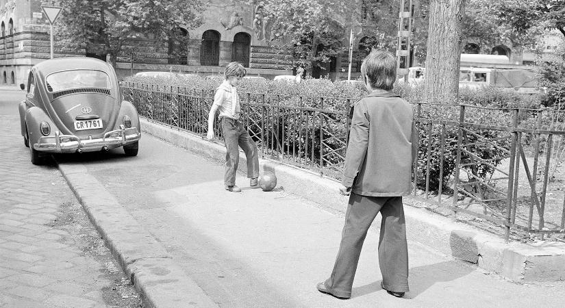 Csabai László: Rend a lelke