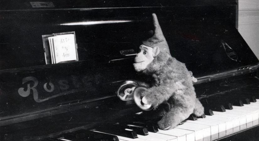 Frideczky Katalin: Michelin-csillag