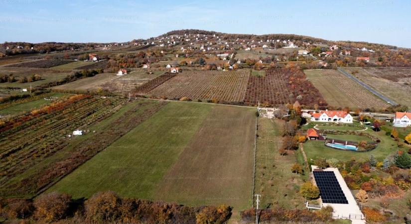 A világ legszebb kilátását ígérik ehhez a balatoni építési telekhez, de megkérik az árát ( fotók)