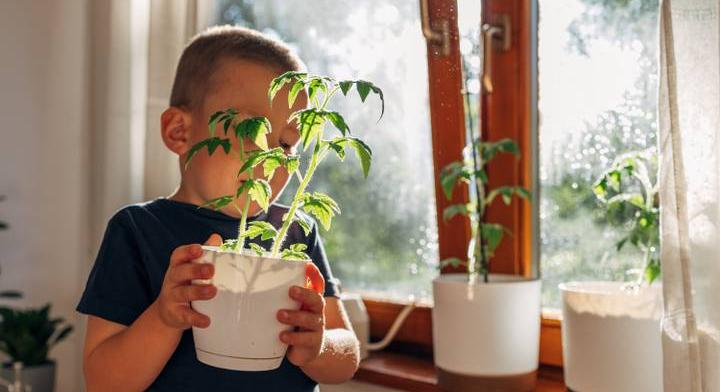Így lesznek télen is friss saját zöldségeink: nem kell hozzá fóliasátor sem