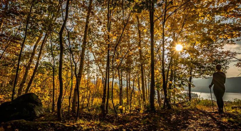 Ősszel varázslatos színkavalkád fogad ezeken a kirándulóhelyeken - 5 festői kilátópont itthon