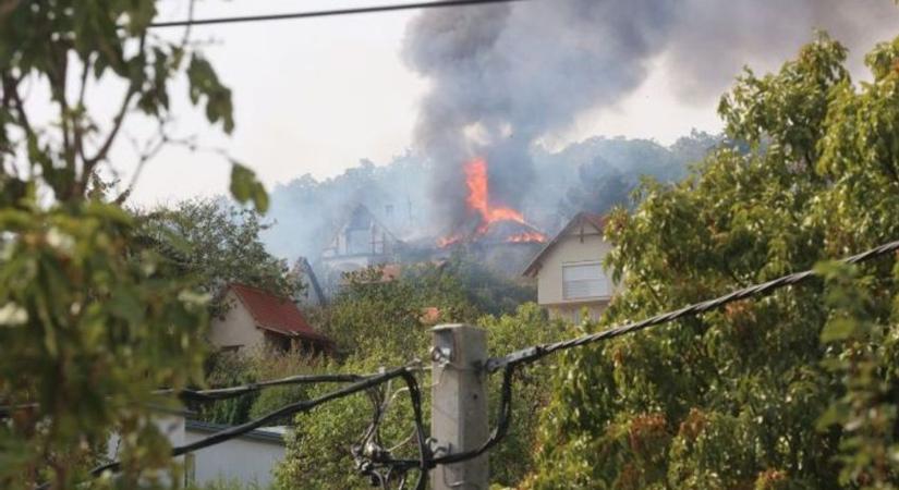 Tanúkat hallgatnak meg a 54 milliós kárt okozó patacsi tűzvész perében