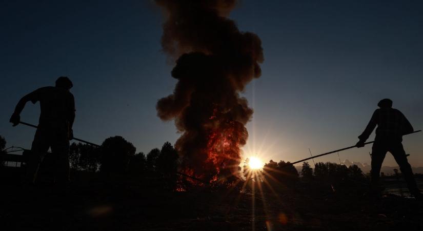 Egy kis hétvégi avarégetés – nemcsak a tüdőt, még az agyat is roncsolja