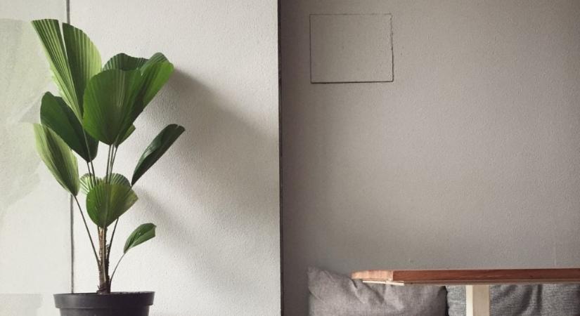 4 dolog az otthonodban, amiről nem is sejted, hogy betegít