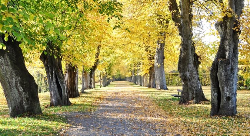 Húsz fok is lehet a hétvégén