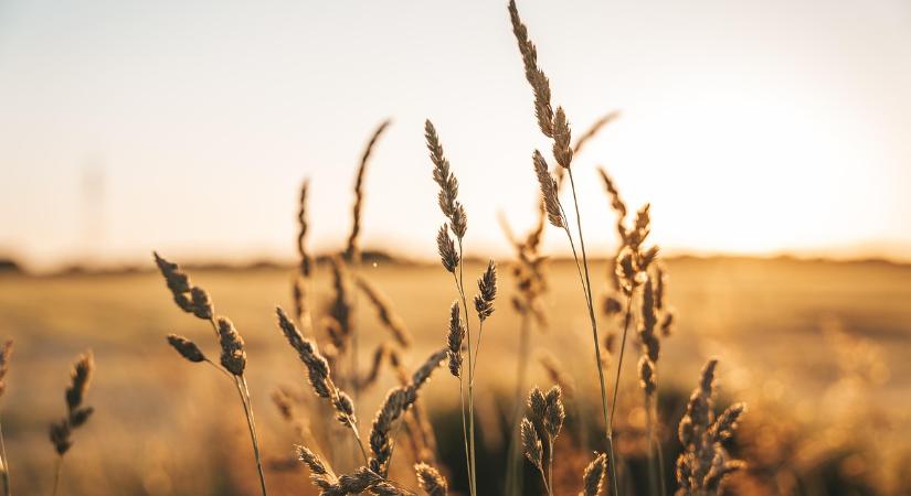 Zöld megállapodás és agrárium a fókuszban – lezajlott a 40. Óvári Tudományos Nap