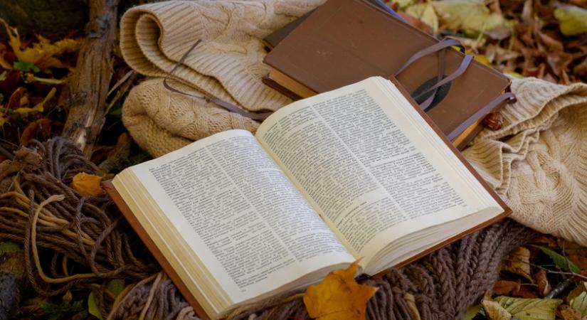 Varázslatos utazás a vándorló palotában: könyvajánló az őszi estékre