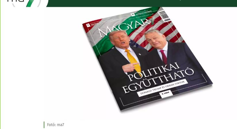 Politikai együttható