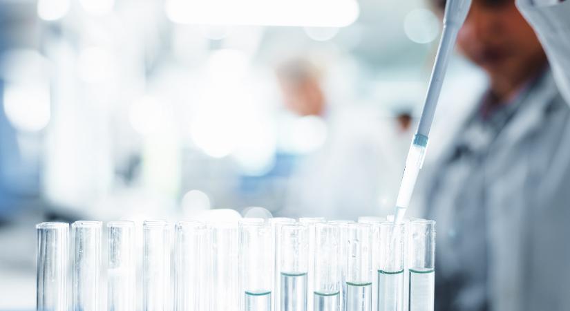 Úttörő kutatás – az egerekben már sikerült visszafordítani a vesekárosodást