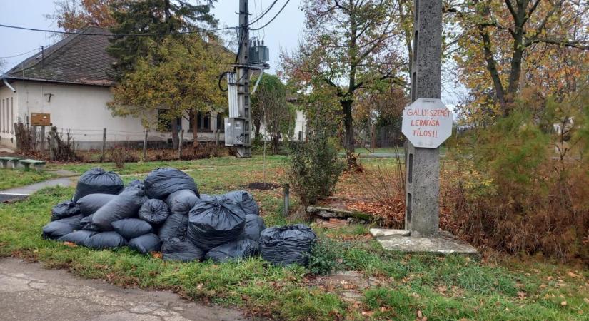 Minden ingatlantulajdonost érint: mostantól csak így szállítják el a zöldhulladékot