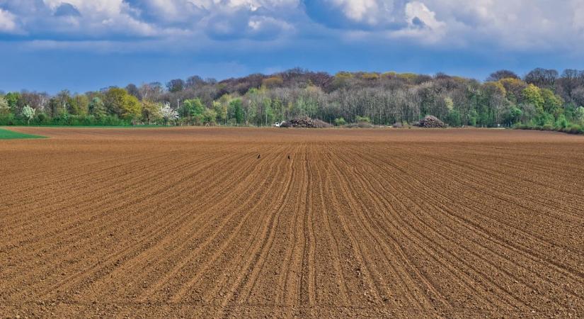 Hol találhatóak ma Magyarország legdrágább és legolcsóbb szántóföldjei?