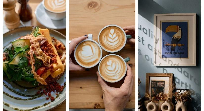 Vivina’s Café: Amikor a specialty kávé csúcsára ér