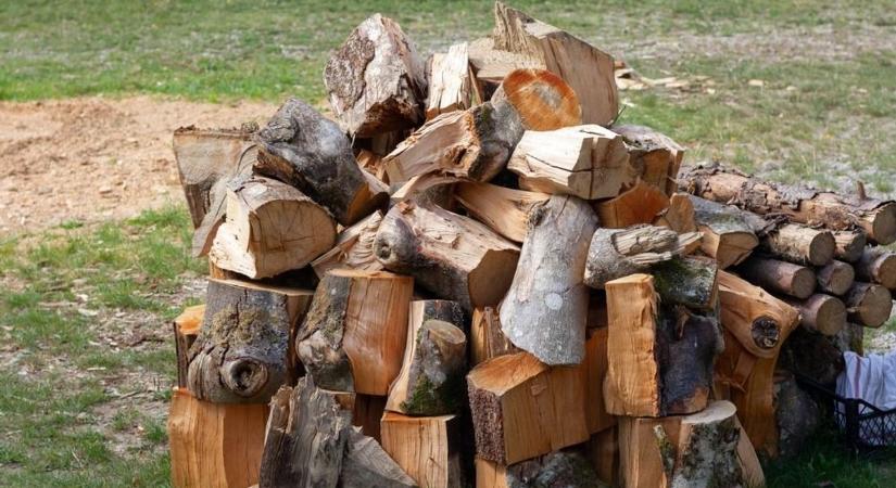 Hódmezővásárhelyen ismét osztják az ingyen tűzifát – mutatjuk, hogyan kérheti