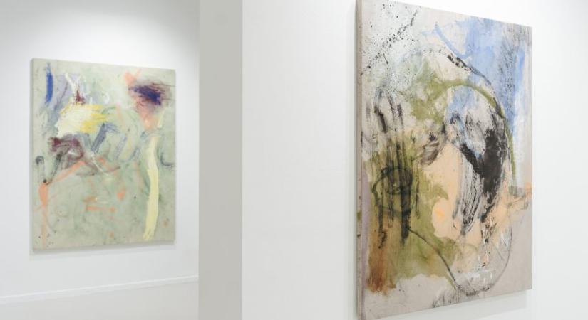 Pakosz Anna művészete nem mondani akar: megtörténni enged