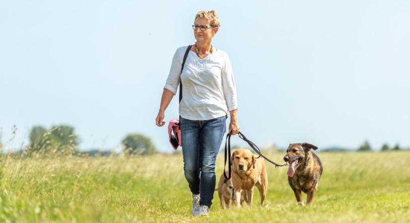 Vasárnap jön a szezon záró nagy kutyakiállítás Esztergomban: 2 x CAC