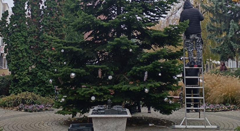 Megérkezett Siófok idei karácsonyfája
