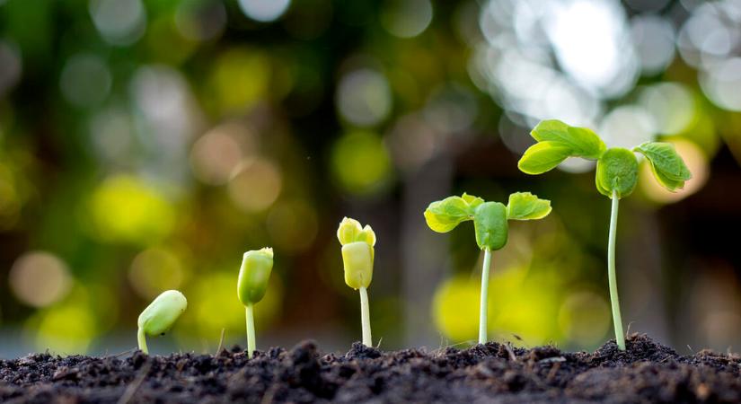 Döcögős adat került elő a magyar gazdaságról