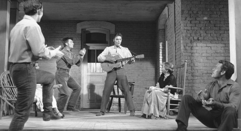 Hegyi Iván: Újvilág és új világ