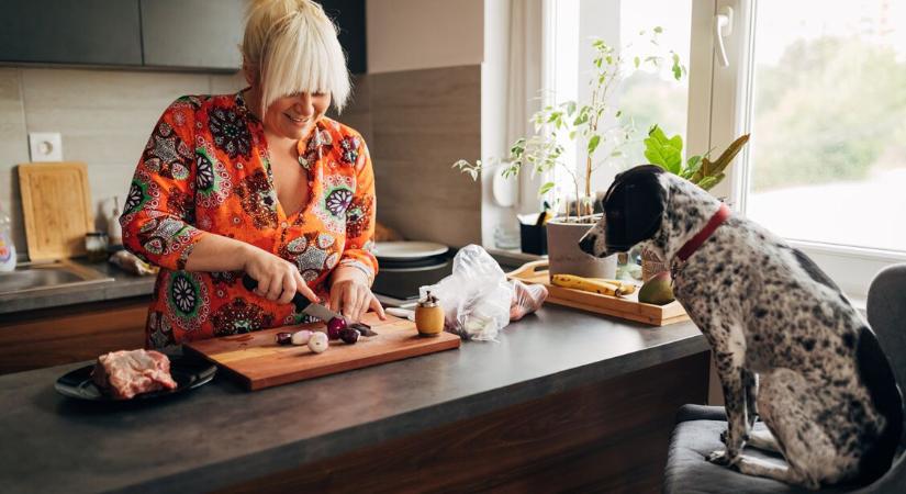 10 étel, amely mérgező a kutyának – Hiába könyörög, ne add kedvencednek