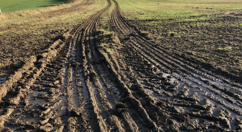 Ezek a módszerek tényleg működnek: a legprofibb gazdák már így termelnek itthon