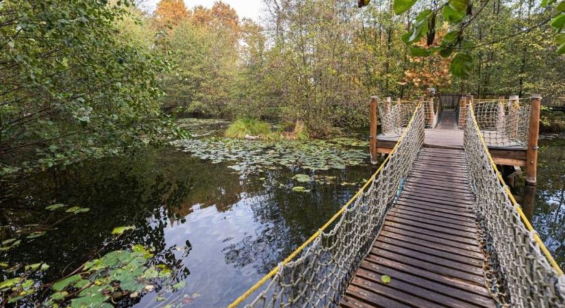 Öt babakocsis kirándulóhely Komárom-Esztergomban