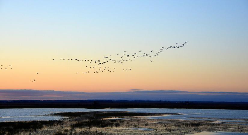 Bővült a hungarikumok köre, egyes nemzeti értékeink azonban végveszélybe kerülhetnek
