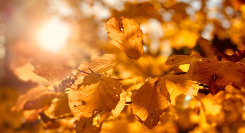 Egészen szokatlan fordulatot vesz az időjárás: a meteorológusoknak is van min csodálkozni