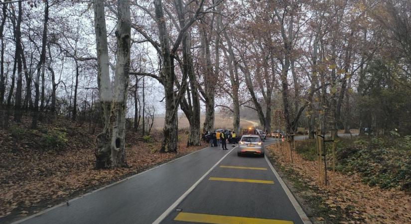 Fának csapódhatott egy autó Alcsútdoboz és Etyek között