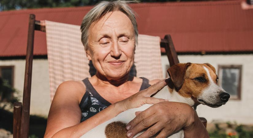 „Nyugdíjas vagyok. Lehet még kutyám?” – Mutatjuk, miben segíthet egy kedvenc idősebb korban