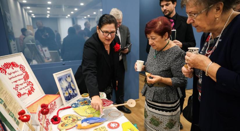 Ők az év civiljei Győr-Moson-Sopron vármegyében - fotók
