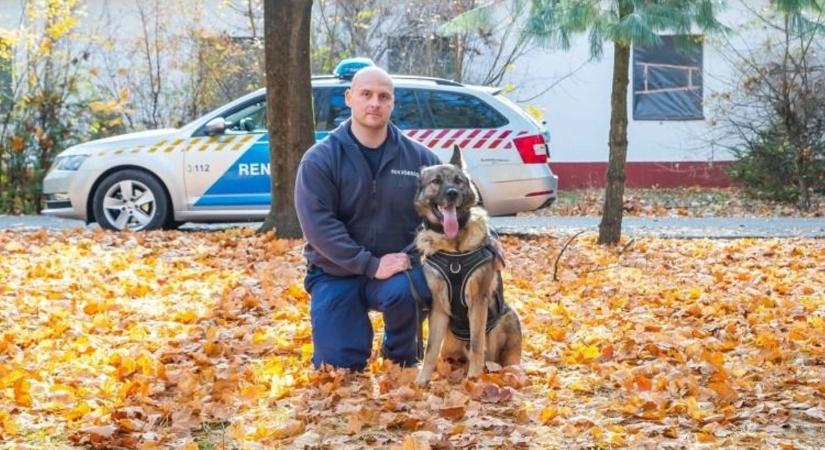 Charlie négy és fél évesen életeket ment – Tudása igazi kincs!