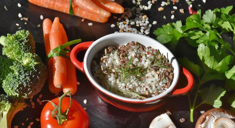 Tudomány a jövő egészségéért: fiatal kutatók mutatták be eredményeiket Debrecenben