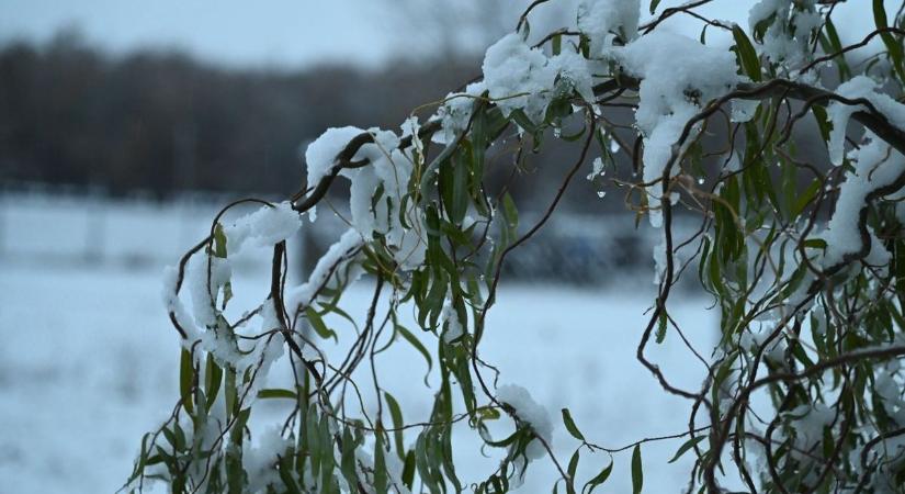 Sokkal hamarabb érkezhet meg az első hó, mint amire bárki számított