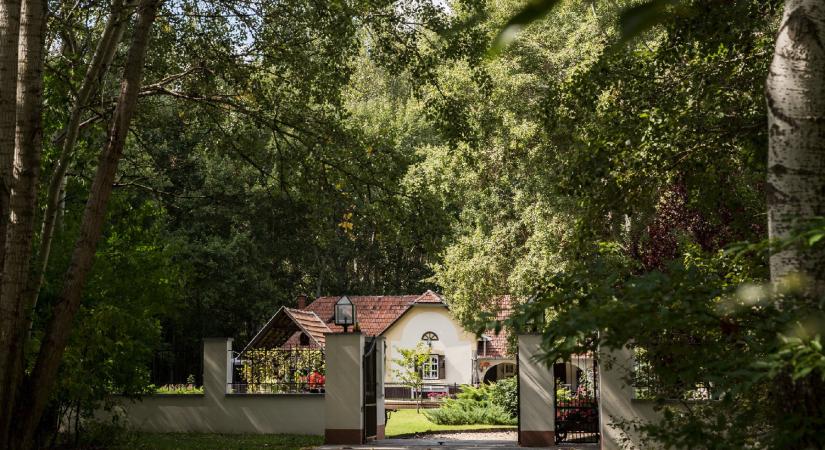 Két Magyarország ugyanazon a földön: az egyik a túlélésért küzd, a másik egy szabadabb életről álmodik