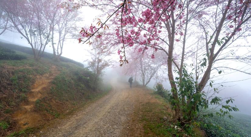 Vasárnap, amikor az időjárás mesél a felhők mögött