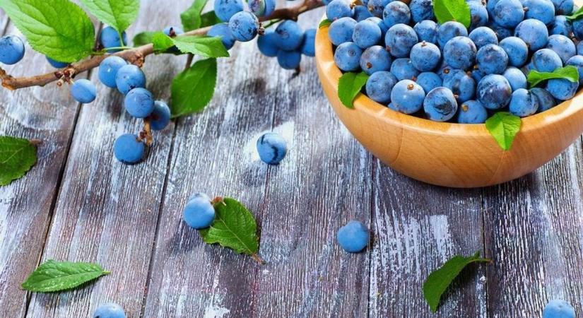 A bogyó, ami ízletes, és jelentősen csökkenti a rák kialakulásának kockázatát
