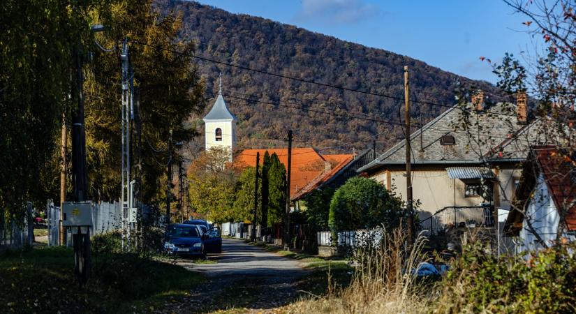 A mecseki bazsarózsa völgyében