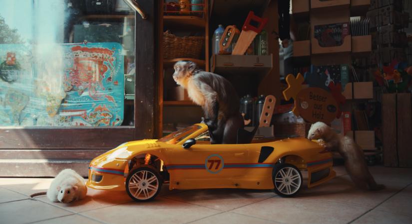 Akiko, a repülő majom