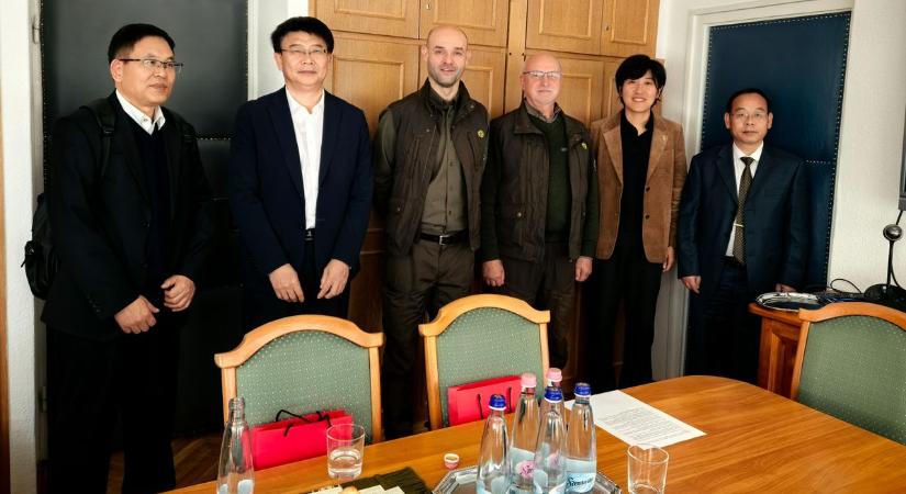 Kínai vendégeket fogatott az Egererdő Zrt.