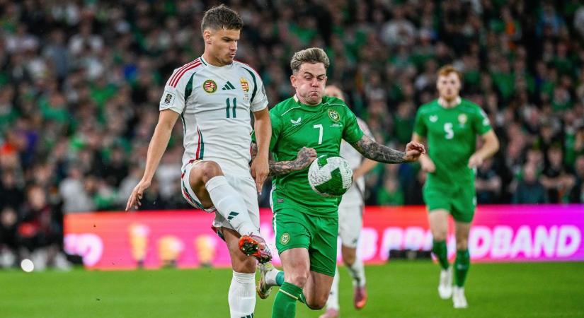 Elképesztő: a magyar közönség viselkedésére alapoznak az írek – egymás után sorolják az okokat, miért győzhetnek Budapesten