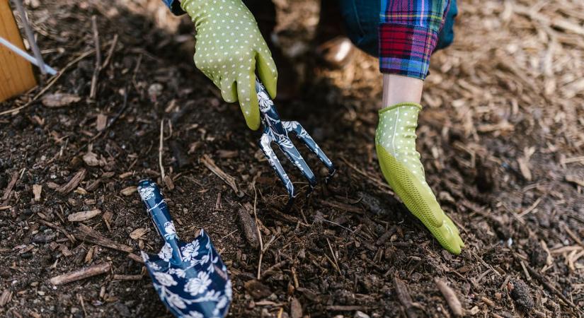 Hogyan lehet zöld és fenntartható a kertünk?