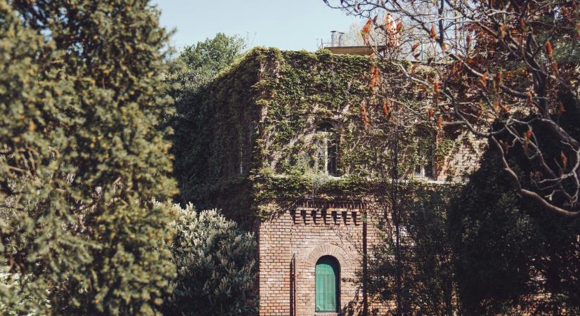 5 látnivaló kertbarátok számára Budapesten és környékén