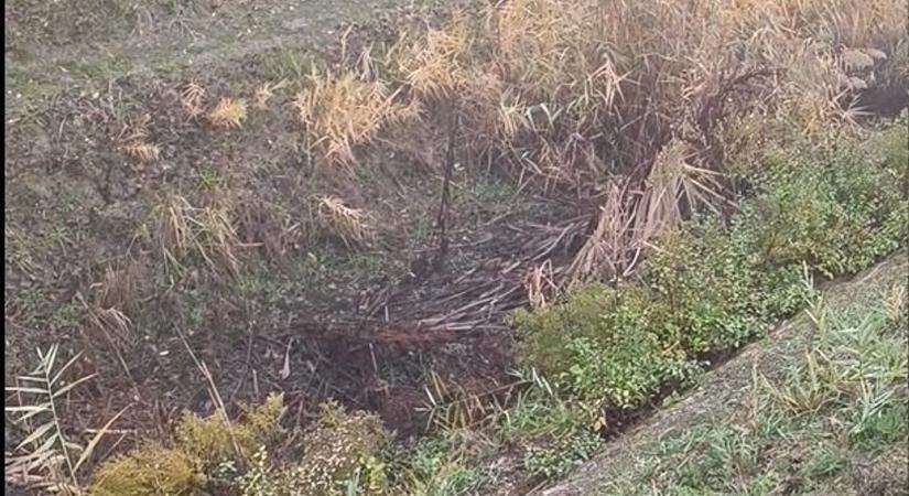 Nem messze a tett helyszínétől próbálta elrejteni fegyverét a szolnoki gyilkos