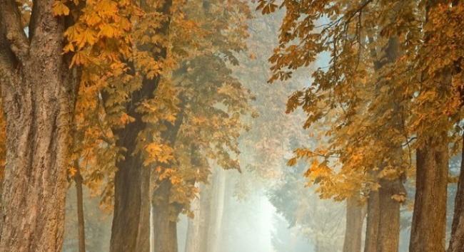 Erzsébet, Katalin és András napi időjárási megfigyelések, hiedelmek és babonák